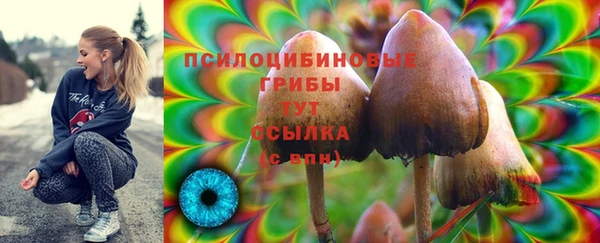 дживик Балабаново