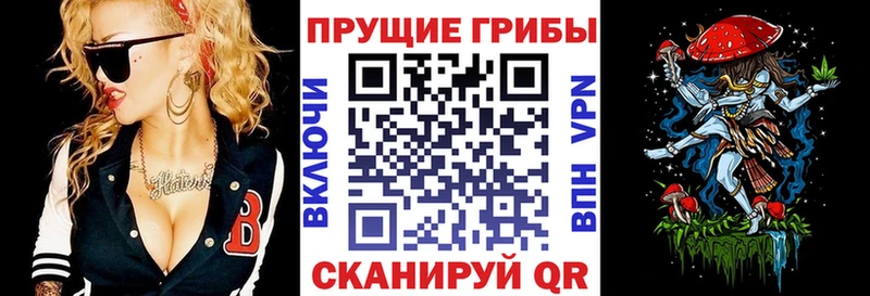Псилоцибиновые грибы GOLDEN TEACHER  цены   блэк спрут   Дорогобуж 